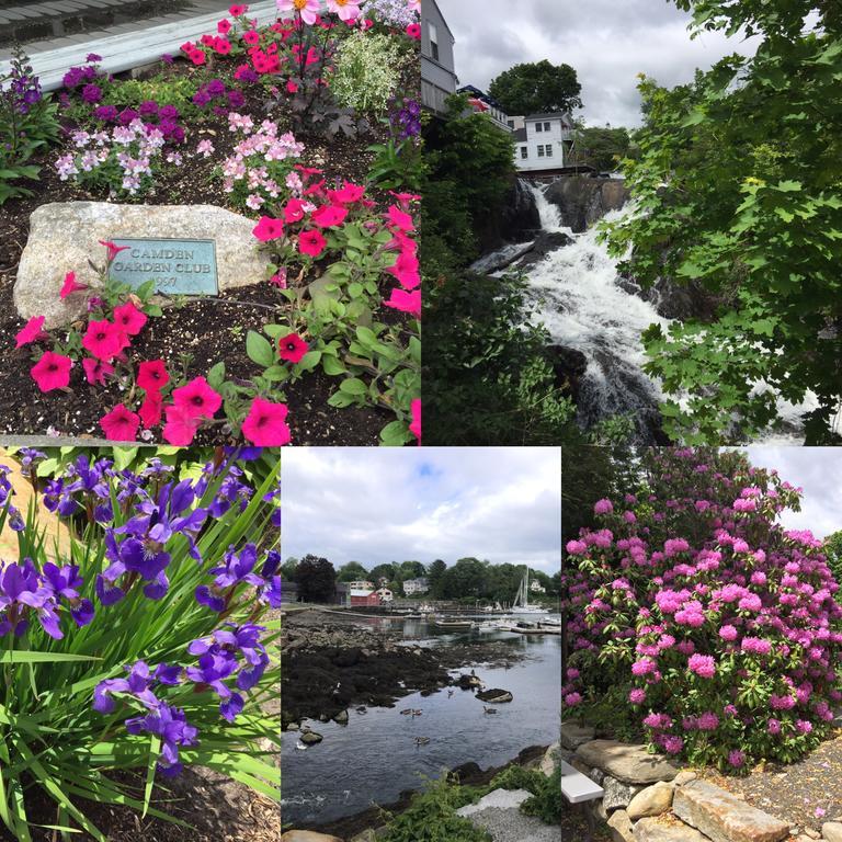 Camden Riverhouse Hotel And Inn Bagian luar foto